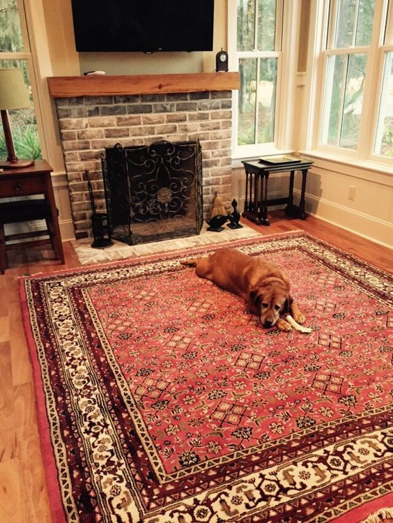 Rug Gallery - Fine Rug Collection