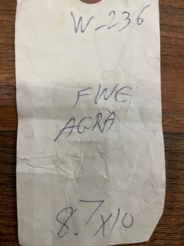 Indian Rug Hand Knotted Oriental Rug Fine Agra 8'7x10'0