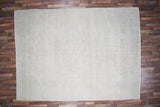 Indian Rug Hand Knotted Oriental Rug Fine Chobi Peshawar 11'10x8'2