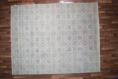 Indian Rug Hand Knotted Oriental Rug Fine Modern 10'1x8'1