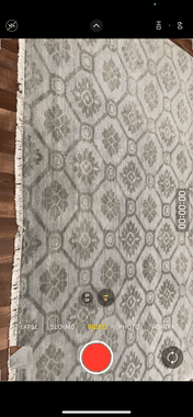 Indian Rug Hand Knotted Oriental Rug Fine Modern 10'1x8'1