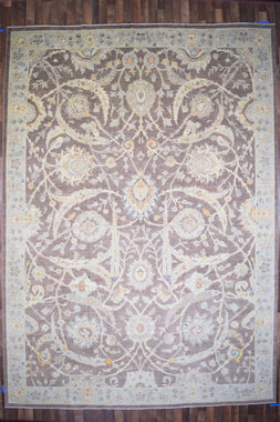 Indian Rug Hand Knotted Oriental Rug Fine Peshawar 10'0x13'10