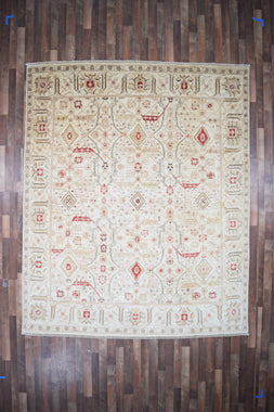 Indian Rug Hand Knotted Oriental Rug Fine Peshawar 10'0x8'2