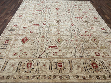 Indian Rug Hand Knotted Oriental Rug Fine Peshawar 10'0x8'2