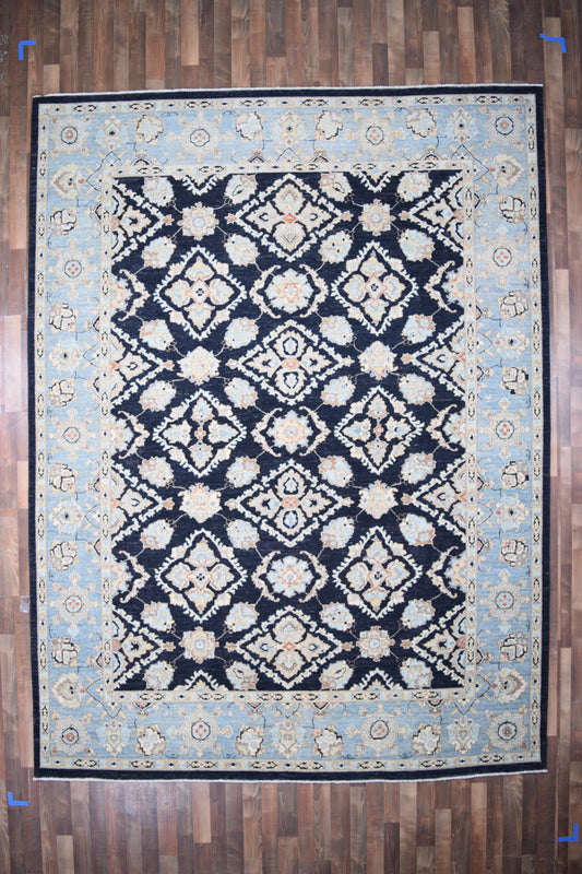 Indian Rug Hand Knotted Oriental Rug Fine Peshawar 9'0x11'10