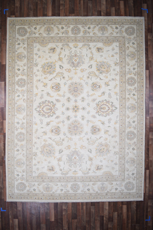 Indian Rug Hand Knotted Oriental Rug Fine Peshawar 9'0x12'0