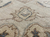 Indian Rug Hand Knotted Oriental Rug Fine Peshawar 9'4x8'0