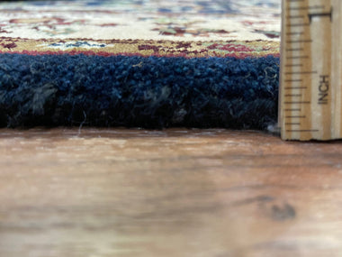 Indian Rug Hand Knotted Oriental Rug Japour 4'1x6'4