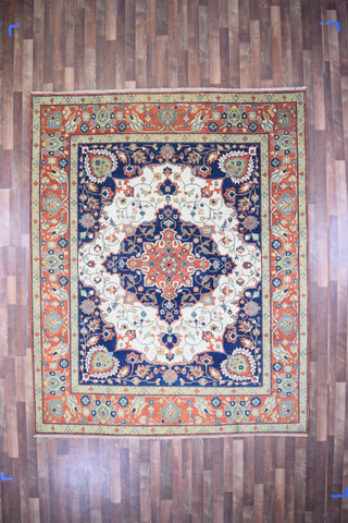 8' X 10' Rugs and Area Rugs