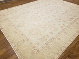 Egypt Hand Knotted Oriental Rug Fine Oriental Agra Rug 9'3X11'9