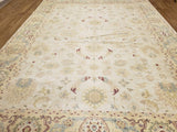 Egypt Hand Knotted Oriental Rug Fine Oriental Agra Rug 9'3X12'3