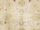 Egypt Hand Knotted Oriental Rug Fine Oriental Agra Rug 9'3X12'3