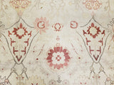 Egypt Hand Knotted Oriental Rug Fine Oriental Peshawar Rug 8'8X12'1