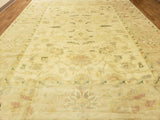 Egypt Hand Knotted Oriental Rug Fine Peshawar Area Rug 10'2X12'10