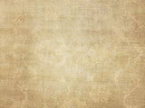 Egypt Hand Knotted Oriental Rug Fine Peshawar Area Rug 8'4X10'6