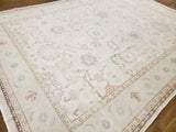 Egypt Hand Knotted Oriental Rug Fine Peshawar Oriental Area Rug 8'7X11'3