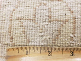 Egypt Hand Knotted Oriental Rug Mahal Oriental Rug 7'10X10'1