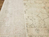 Egypt Hand Knotted Oriental Rug Mahal Oriental Rug 8'x10'3
