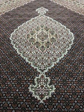 Indian Rug Hand Knotted Oriental Rug Fine Mahi Tabriz 8'2X10 Oriental Rug