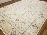 Pakistan Hand Knotted Oriental Rug Agra Oriental Area Rug 10'2X13'9